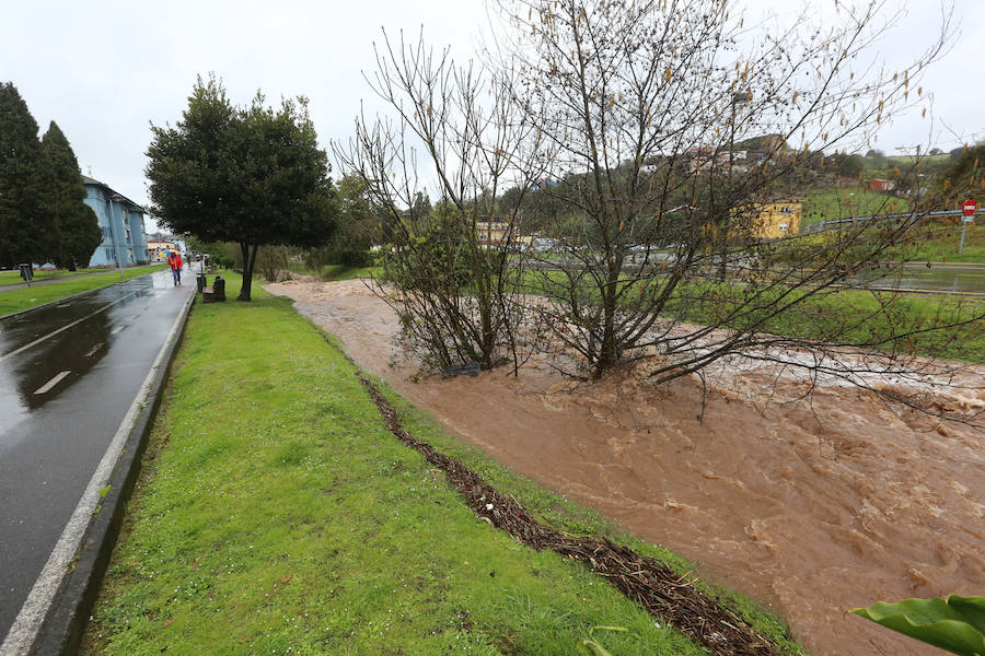 Las intensas y constantes lluvias de este domingo han ocasionado inundaciones en varios puntos del Principado, que ha activado el nivel de prealerta en fase 2