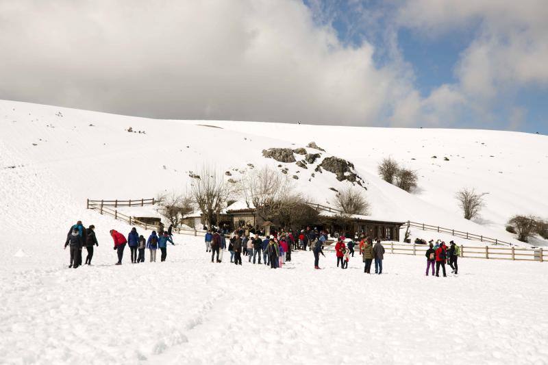 Fotos: El buen tiempo llena las calles de Asturias