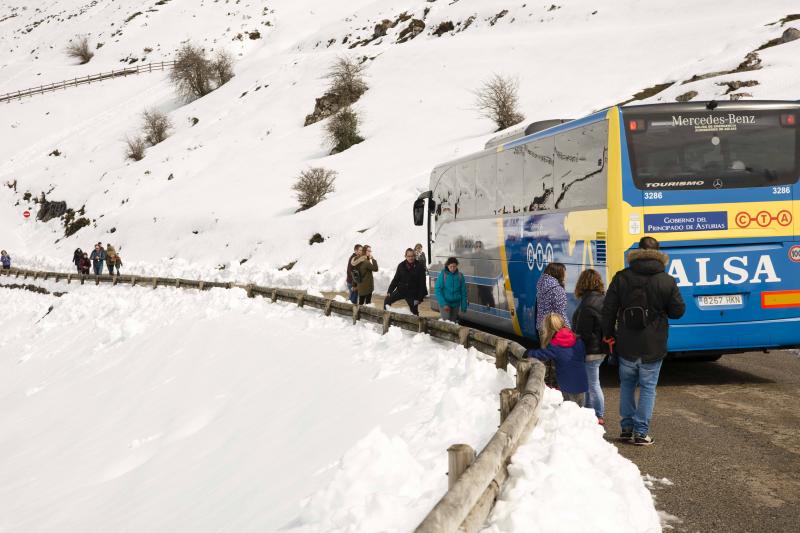 La preciosa estampa que ofrece estos días el paraje protegido atrae a multitud de turistas y provoca colas