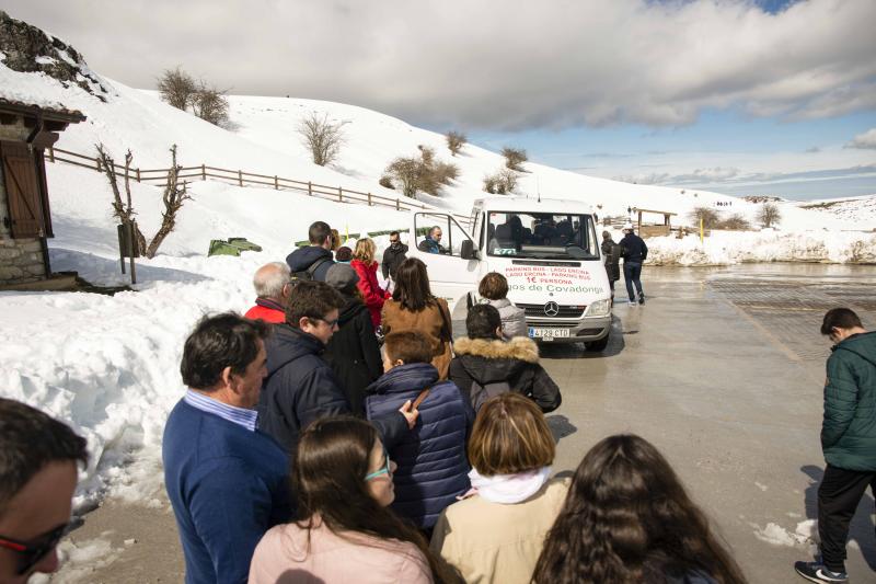 La preciosa estampa que ofrece estos días el paraje protegido atrae a multitud de turistas y provoca colas