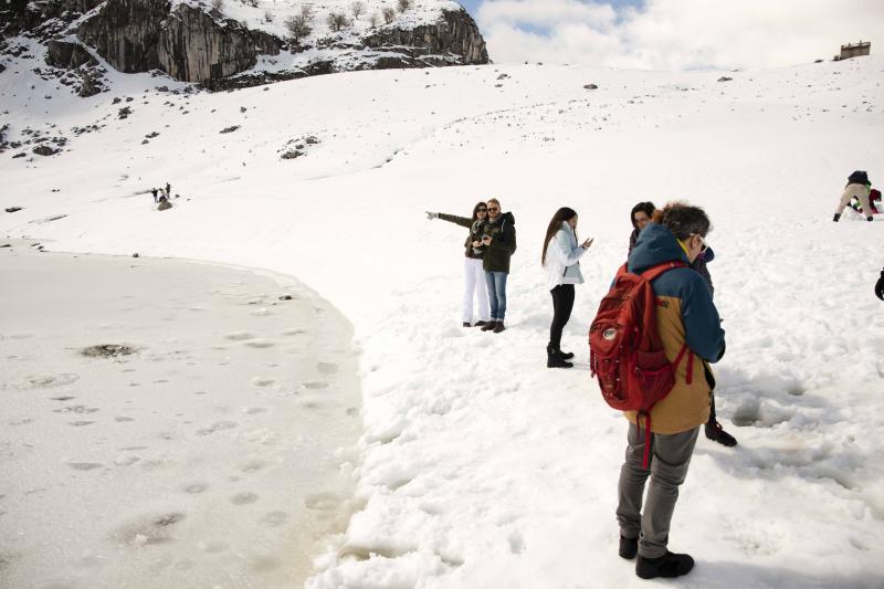 La preciosa estampa que ofrece estos días el paraje protegido atrae a multitud de turistas y provoca colas