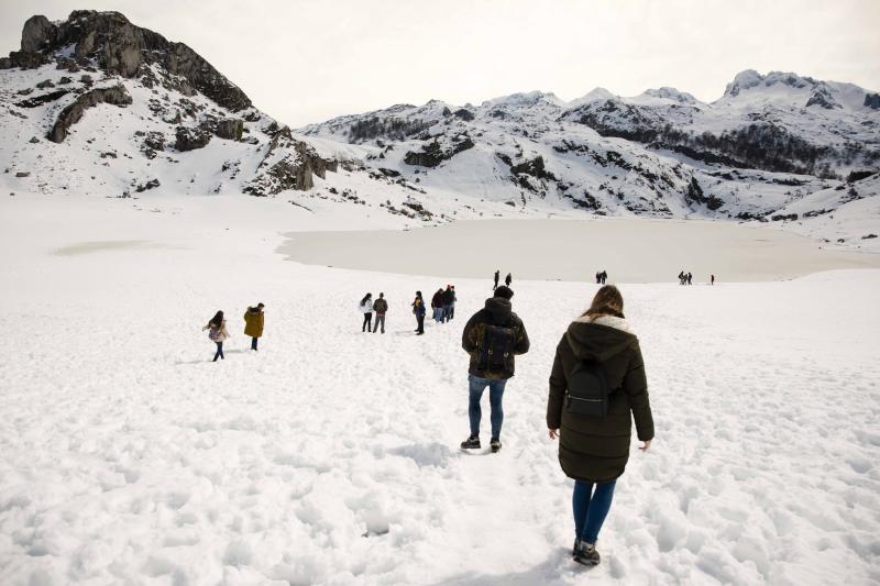 La preciosa estampa que ofrece estos días el paraje protegido atrae a multitud de turistas y provoca colas