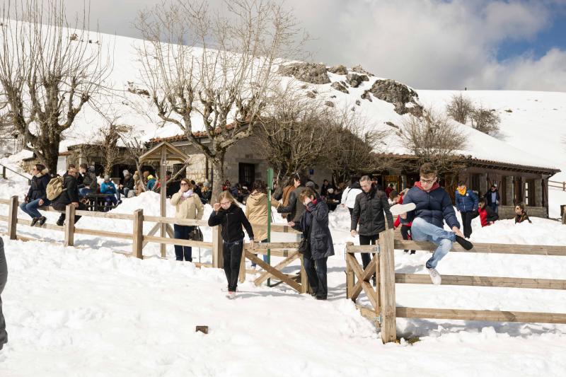 La preciosa estampa que ofrece estos días el paraje protegido atrae a multitud de turistas y provoca colas