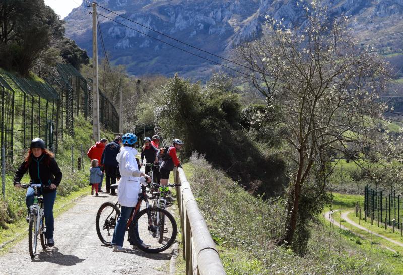 La previsión de mal tiempo no ha desincentivado a los visitantes y Asturias ha alcanzado una elevada tasa de ocupación esta Semana Santa. En los momentos en los que la lluvia ha dado una tregua, los turistas no han dudado en salir a disfrutar de los paisajes y las ciudades del Principado, de Oriente a Occidente. 