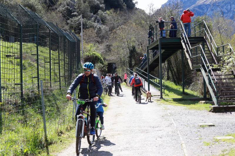 La previsión de mal tiempo no ha desincentivado a los visitantes y Asturias ha alcanzado una elevada tasa de ocupación esta Semana Santa. En los momentos en los que la lluvia ha dado una tregua, los turistas no han dudado en salir a disfrutar de los paisajes y las ciudades del Principado, de Oriente a Occidente. 