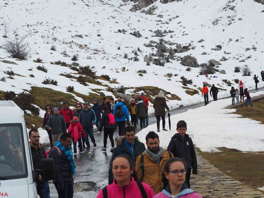 Fotos: Los turistas abarrotan el oriente asturiano