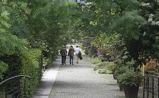 El Jardín Botánico de Gijón cumple quince primaveras