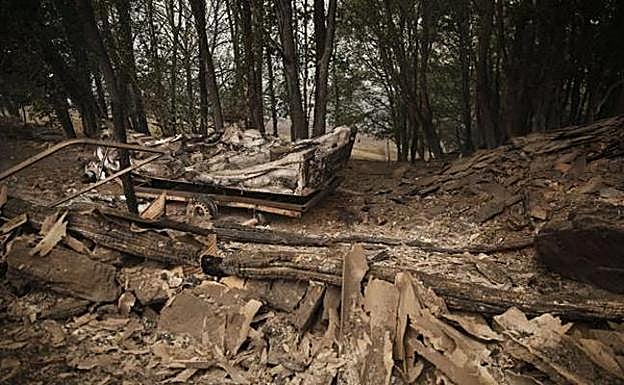 El anuncio de ayudas a zonas quemadas de Asturias dispara las críticas de los ecologistas