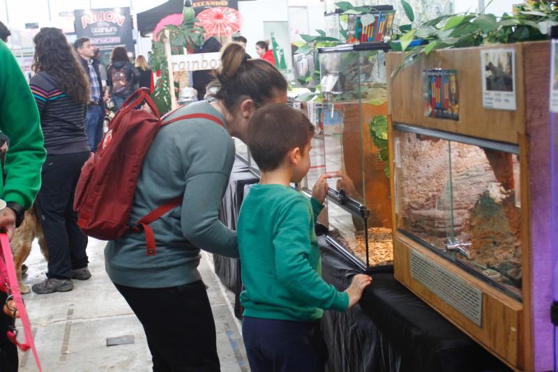 El Salón de la Mascota abre sus puertas en el pabellón de exposiciones de La Magdalena con más de 3.000 perros