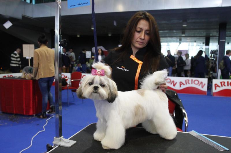 Parte de la actividad del Salón de la Mascota organizado por la Cámara de Comercio de Avilés tiene que ver con la peluquería canina