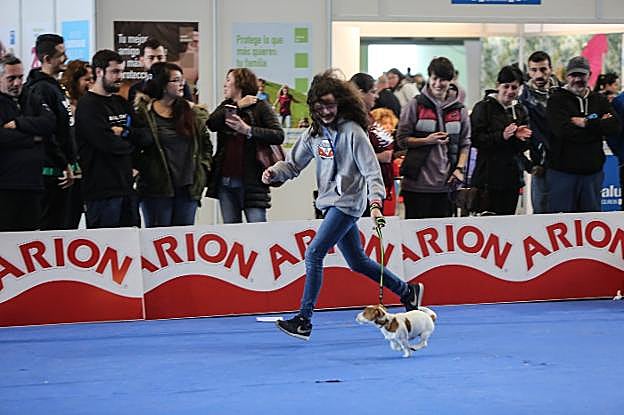 Una de las exhibiciones y concursos celebrados ayer en La Magdalena. 