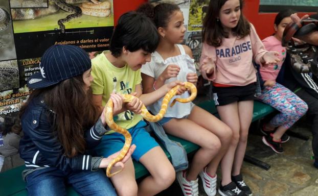 Guardado da un margen de maniobra al Parque de la Vida para evitar cerrarlo