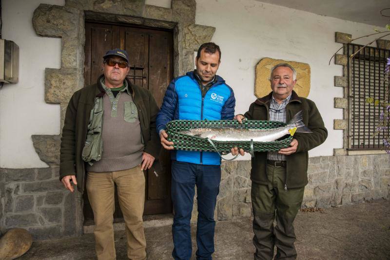 Juan Antonio González Menéndez ha capturado en la zona libre de El Arcu, en el río Sella, el primer salmón de la temporada. Se trata de un ejemplar de más de siete kilos que se subastará en Cangas de Onís.