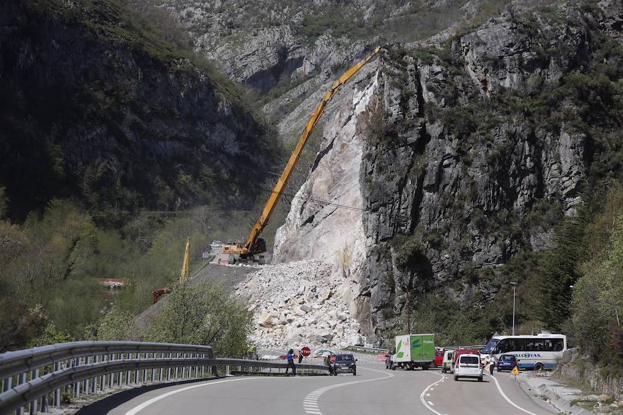 Fotos: Las máquinas trabajan para retirar el argayu de Caso