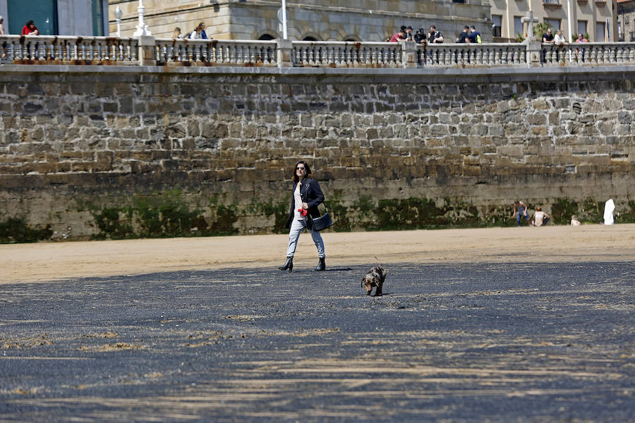 La mancha oscura ha aparecido de nuevo junto al 'pedreru' de San Pedro y se prolonga hasta la escalera número 2 del arenal gijonés