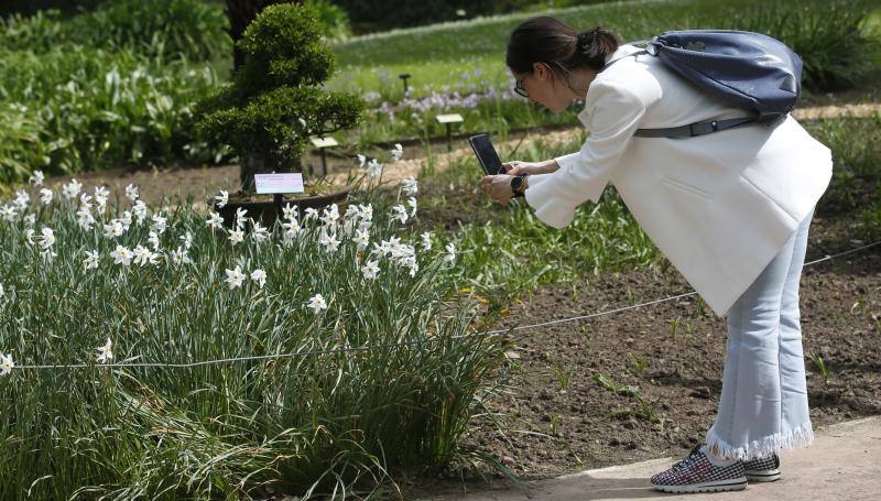 El jardín gijonés celebra su decimoquinto aniversario con una jornada de puertas abiertas repleta de visitantes.