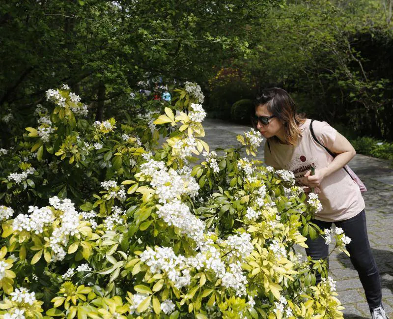 El jardín gijonés celebra su decimoquinto aniversario con una jornada de puertas abiertas repleta de visitantes.
