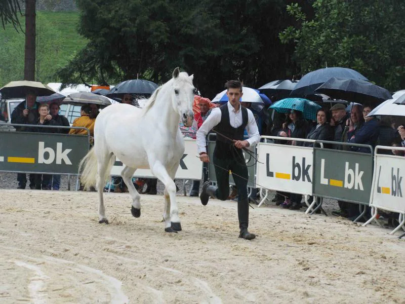 La magia de los caballos ha conquistado a decenas de personas en Infiesto. El espectáculo ecuestre es una de las principales actividades de la Feria de Abril que se celebra en la villa piloñesa este puente del Primero de Mayo.