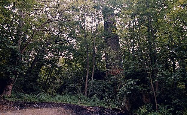 El Ayuntamiento de Oviedo pide conectar a la red los vertidos del depósito de La Manjoya