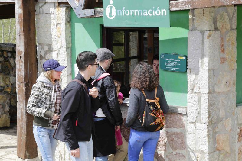 El buen tiempo invitó a lugareños y foráneos a disfrutar de todos los rincones del Principado en este Primero de Mayo.