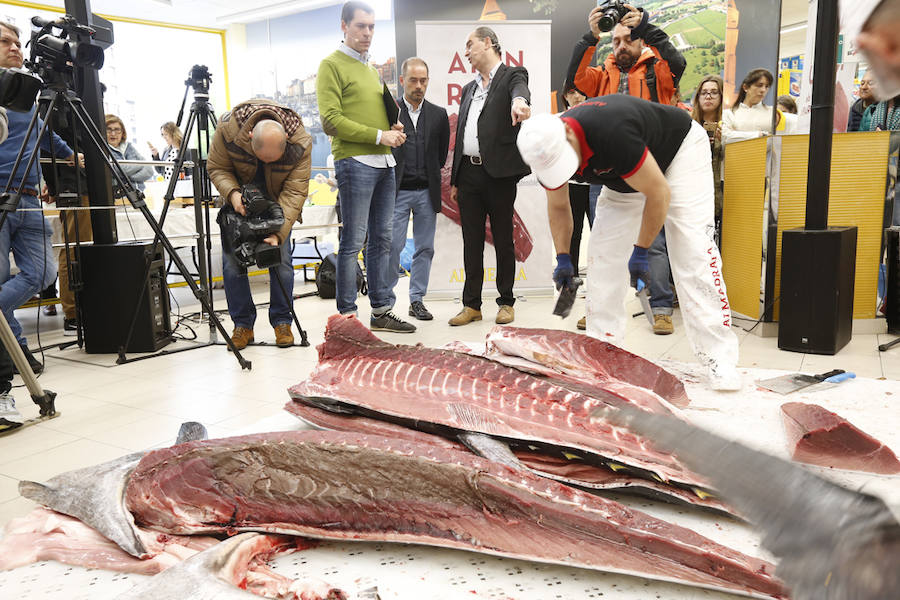 La tienda Alimerka situada en los bajos de El Molinón fue la encargada de traer a Asturias este ejemplar pescado en almadraba, un sistema artesanal y sostenible.