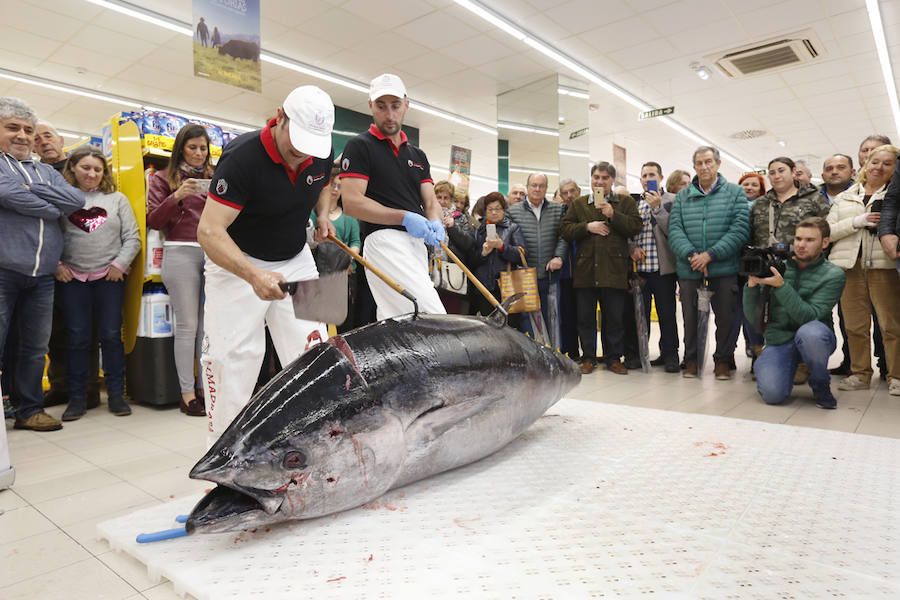 La tienda Alimerka situada en los bajos de El Molinón fue la encargada de traer a Asturias este ejemplar pescado en almadraba, un sistema artesanal y sostenible.