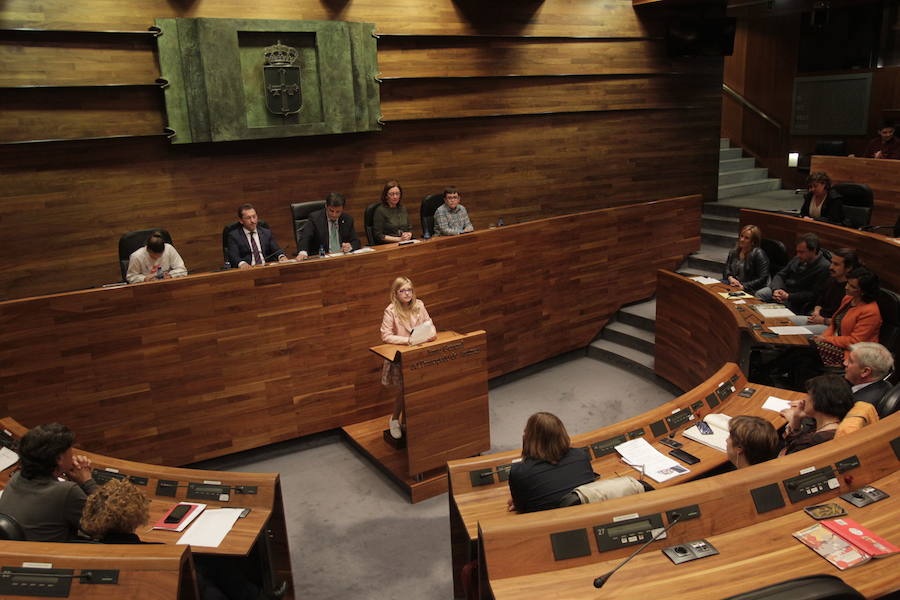 La Junta General ha celebrado el acto oficial de la Selmana de les Lletres Asturianes, dedicada a la literatura infantil y juvenil. Además de los parlamentarios, la cita ha contado con la participación de medio centenar de alumnos de Primaria de distintos centros de la región.