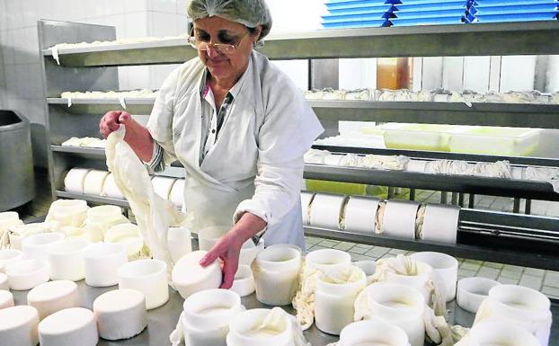 Anita González, de Quesos de Varé, desmolda algunos de los quesos en la sede de su negocio. Esta es una de las queserías artesanas más emblemáticas de la zona centro de Asturias. Nació en el año 93 y desarrolla una producción anual de 15.000 kilos, aproximadamente. 