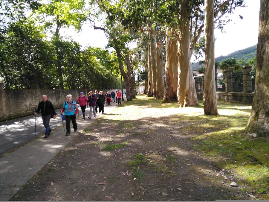 Fotos: La Chiruca recorre el Camino de Santiago entre Muros y Soto de Luiña