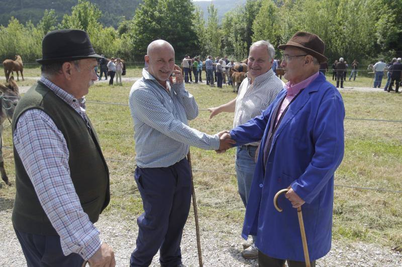 Fotos: La Ascensión celebra su mercado de ganado en Olloniego