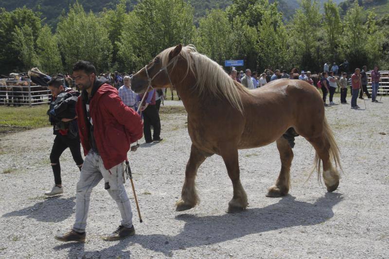 Fotos: La Ascensión celebra su mercado de ganado en Olloniego