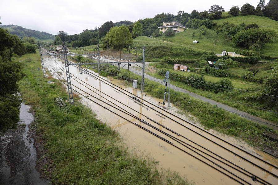 Las intensas lluvias han provocado inundaciones y argayos en varios puntos del centro de Asturias, sobre todo, en los concejos de Gijón y Villaviciosa. No obstante, en concejos como Langreo o Degaña también se han registrado desperfectos.