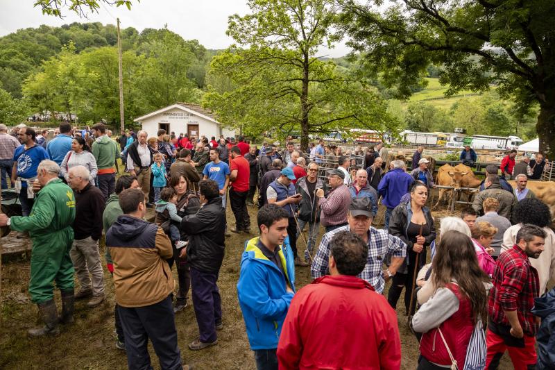 Éxito de la feria de Corao. Centenares de personas desafiaron el mal tiempo y disfrutaron del tracional certamen ganadero, que finalizó con un buen balance de operaciones.