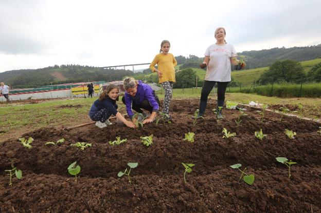 Algunos de los adjudicatarios de los nuevos huertos urbanos ya han plantado su primera cosecha. 
