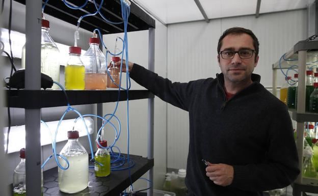 El director ejecutivo de Neoalgae muestra el inicio del proceso.