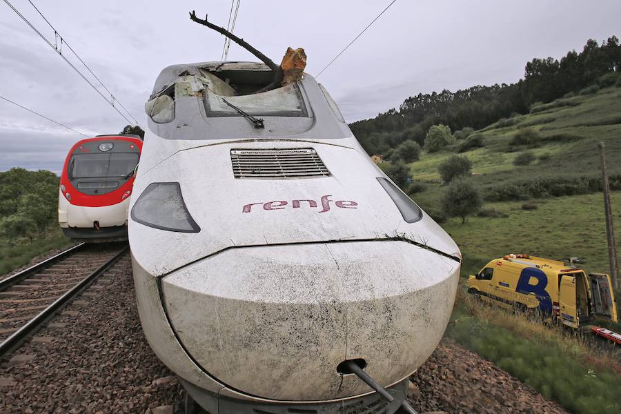 Las ramas entraron en la cabina e hirieron al conductor del tren, que cubría la ruta Madrid-Gijón y transportaba a 97 personas