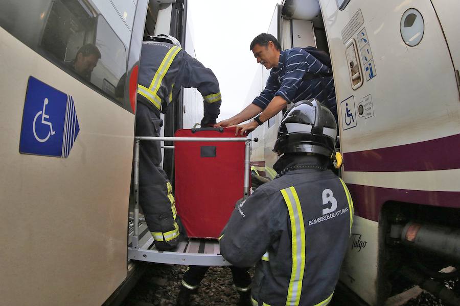 Las ramas entraron en la cabina e hirieron al conductor del tren, que cubría la ruta Madrid-Gijón y transportaba a 97 personas