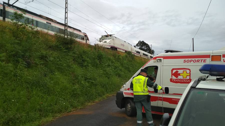 Las ramas entraron en la cabina e hirieron al conductor del tren, que cubría la ruta Madrid-Gijón y transportaba a 97 personas