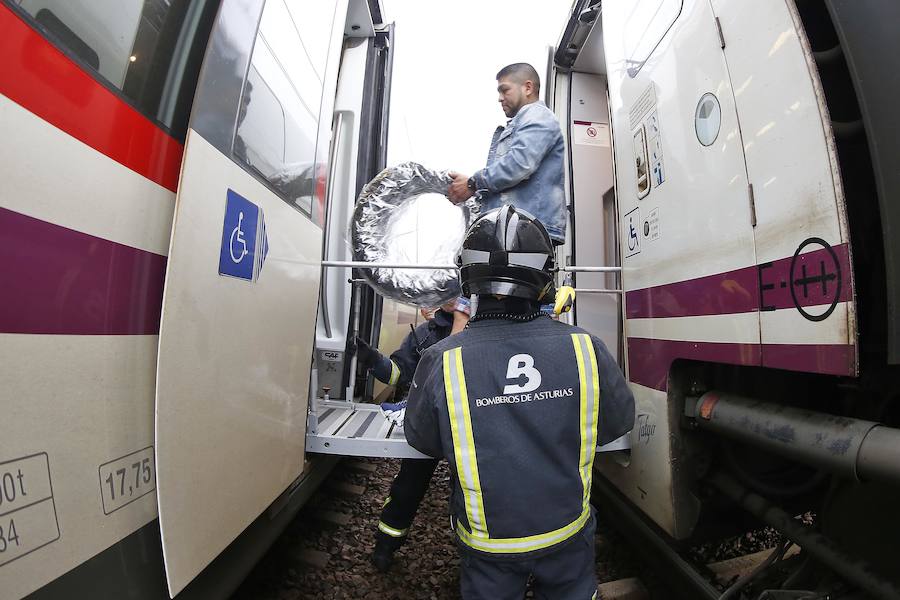 Las ramas entraron en la cabina e hirieron al conductor del tren, que cubría la ruta Madrid-Gijón y transportaba a 97 personas