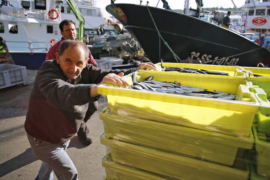 Setenta barcos descargan en las rulas de Gijón y Avilés más de 300.000 kilos en un día