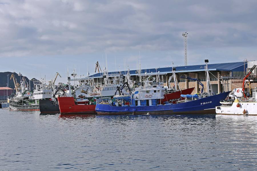 Setenta barcos descargan en las rulas de Gijón y Avilés más de 300.000 kilos en un día