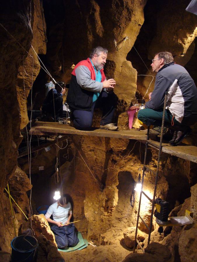 El biólogo sueco Svante Pääbo, especialista en genética evolutiva centrado en el estudio del genoma completo del hombre del Neandertal y las primeras poblaciones de la Prehistoria, ha sido galardonado con el Premio Princesa de Asturias de Investigación Científica y Técnica 2018.