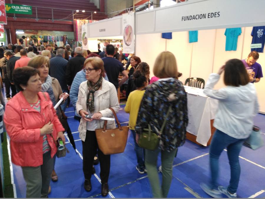 El certamen incluye una recreación de un antiguo establo, con elementos tradicionales así como una de las primeras ordeñadoras que existieron en la región. Entre los estands, productos novedosos, como robots y utensilios de cocina de última generación. También un puesto de orquídeas.