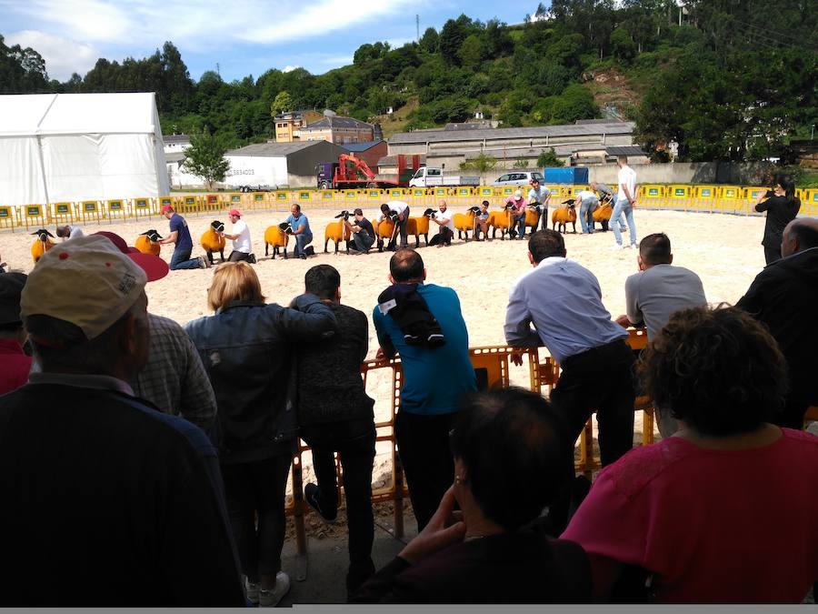 Vegadeo cierra este domingo la última edición de su Feria de Muestras, una cita comercial de referencia en Asturias que, un año más, ha registrado todo un éxito de público.