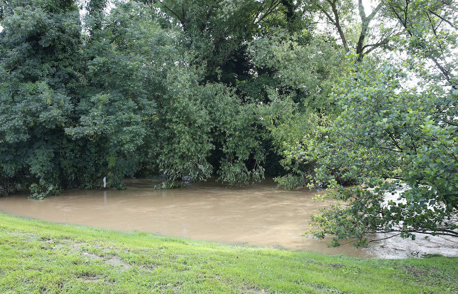 Han resultado afectados laboratorios, la cafetería y numerosas zonas comunes del centro de la Universidad de Oviedo