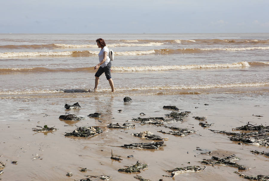 La Comisión de Seguimiento de la Playa ha cerrado la playa al baño nuevamente tras las lluvias caídas en la noche y la aparición de suciedad en el arenal esta mañana.