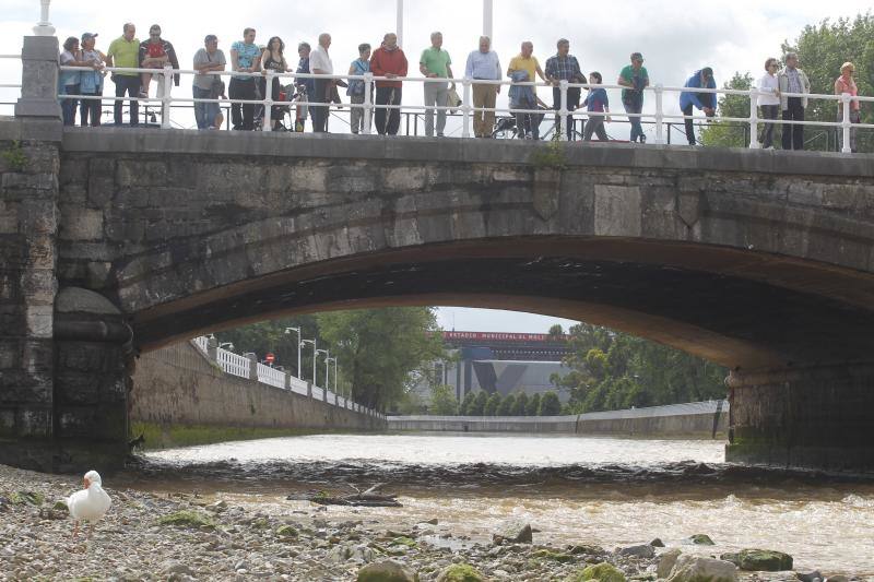 Fotos: Los efectos de las inundaciones en el río Piles