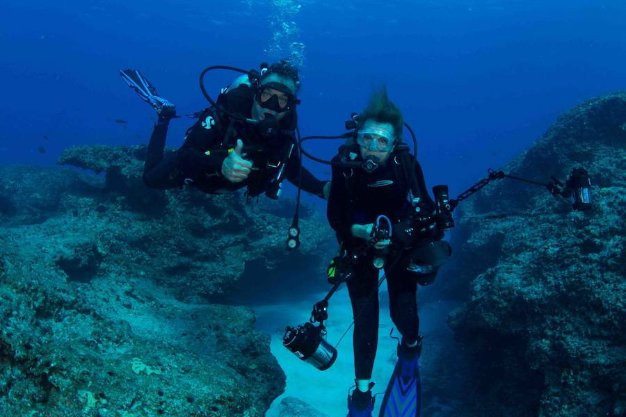 Fotos: La oceanógrafa Sylvia Early, premio Princesa de Asturias de la Concordia