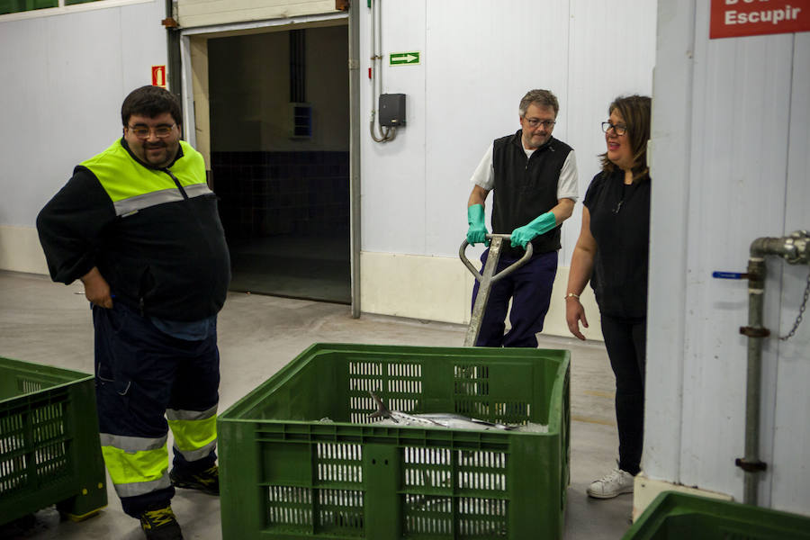 El primer bonito de la temorada subastado en EL Musel alcanzó el precio de 16,97 euros el kilo. En total fueron rulados 5.300 kilos del túnido