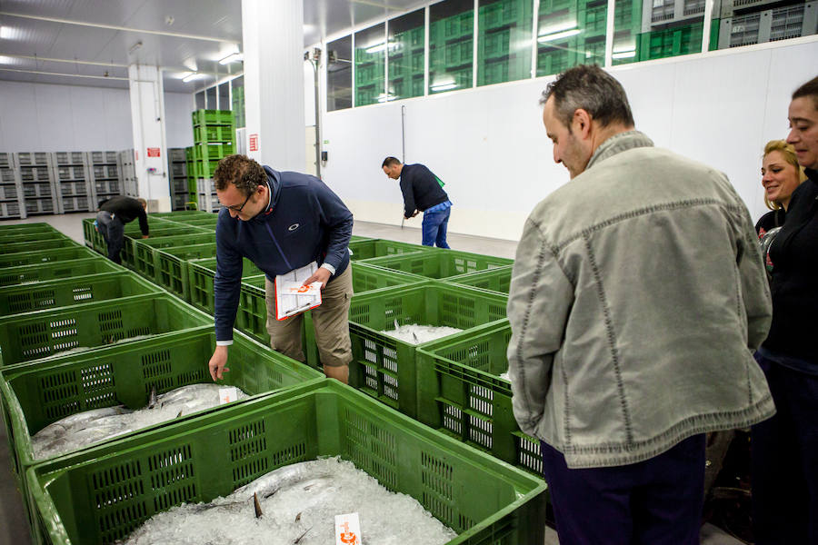 El primer bonito de la temorada subastado en EL Musel alcanzó el precio de 16,97 euros el kilo. En total fueron rulados 5.300 kilos del túnido